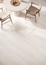 Flaviker Double Gres Porcellanato Effetto Marmo di Portland Tutta Massa